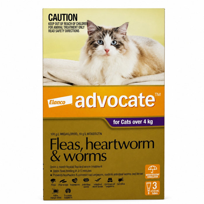 Advocate Topical Solution for Cats 9.1-18 lbs (over 4 kg) - Purple