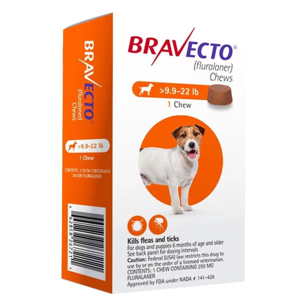 Bravecto Chews for Dogs 9.9-22 lbs (4.5-10 kg) - Orange
