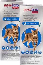 Bravecto Plus Topical Solution for Cats 6.2-13.8 lbs (2.8-6.25 kg) - Blue