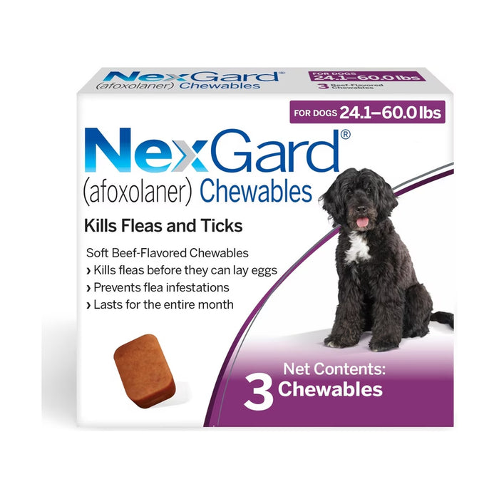 NexGard Chewables for Dogs 24.1-60 lbs (10.1-25 kg) - Green