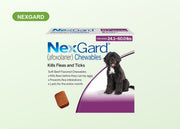 NexGard Chewables for Dogs 24.1-60 lbs (10.1-25 kg) - Green