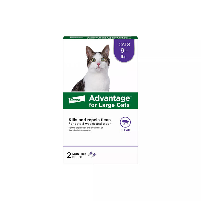 Advantage Topical Solution for Cats over 8.8 lbs (over 4 kg) - Purple
