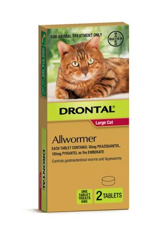 Drontal Allwormer Tablets for Cats — Treats 13.2 lb per Tablet (6 kg Strength)