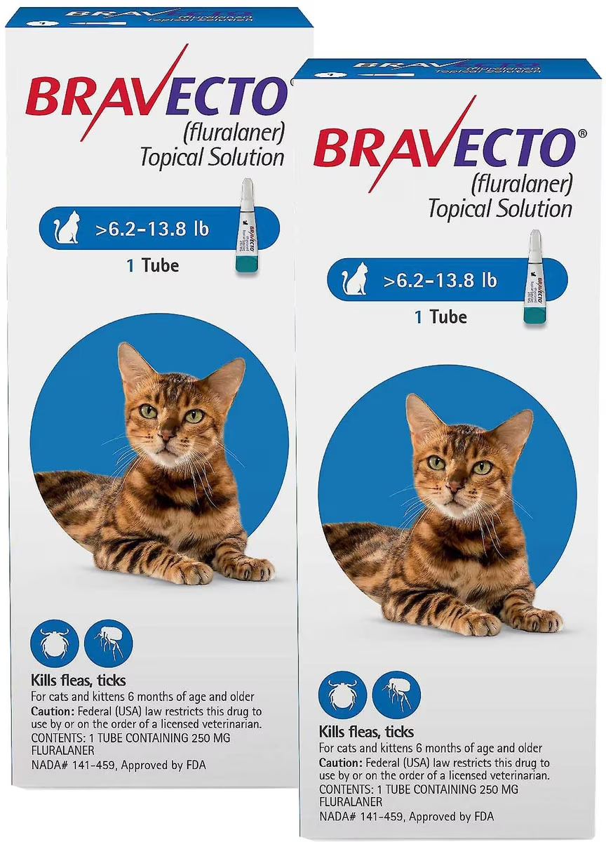 Bravecto Topical Solution for Cats — 6.2–13.8 lb — AU Blue Pack