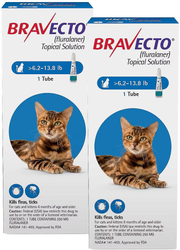 Bravecto Topical Solution for Cats — 6.2–13.8 lb — US packaging reference — 2 doses