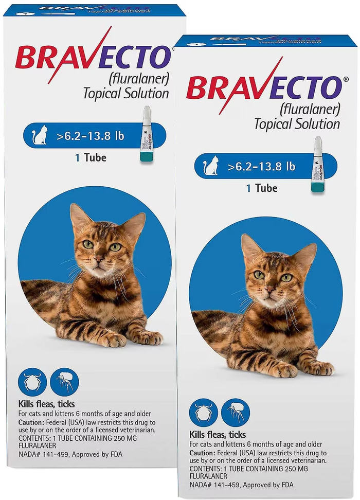 Bravecto Topical Solution for Cats — 6.2–13.8 lb — AU Blue Pack