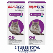 Bravecto Topical Solution for Cats — 13.8–27.5 lb — 2 tubes total, two 1-tube packs — US packaging combination reference