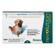 Revolution Topical Solution for Dogs 40.1-85 lbs (20.1-40 kg) - Teal