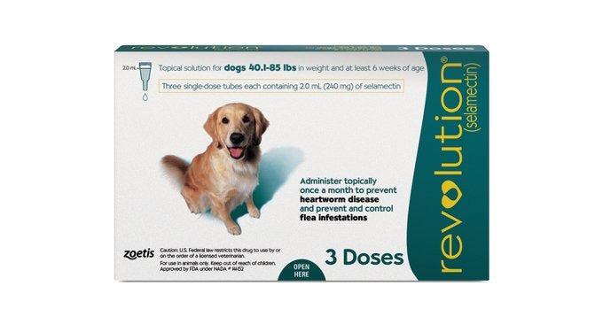 Revolution Topical Solution for Dogs 40.1-85 lbs (20.1-40 kg) - Teal
