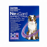 NexGard Spectra Chewables for Dogs 33.1-66.1 lbs (15.1-30 kg) - Purple