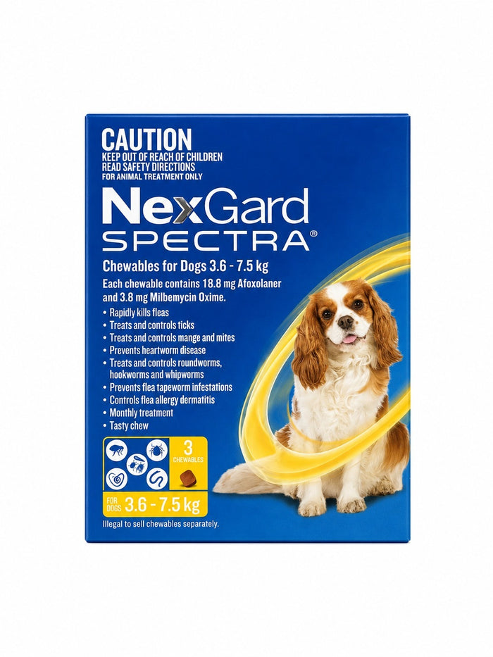 NexGard Spectra Chewables for Dogs 7.8-16.5 lbs (3.6-7.5 kg) - Yellow