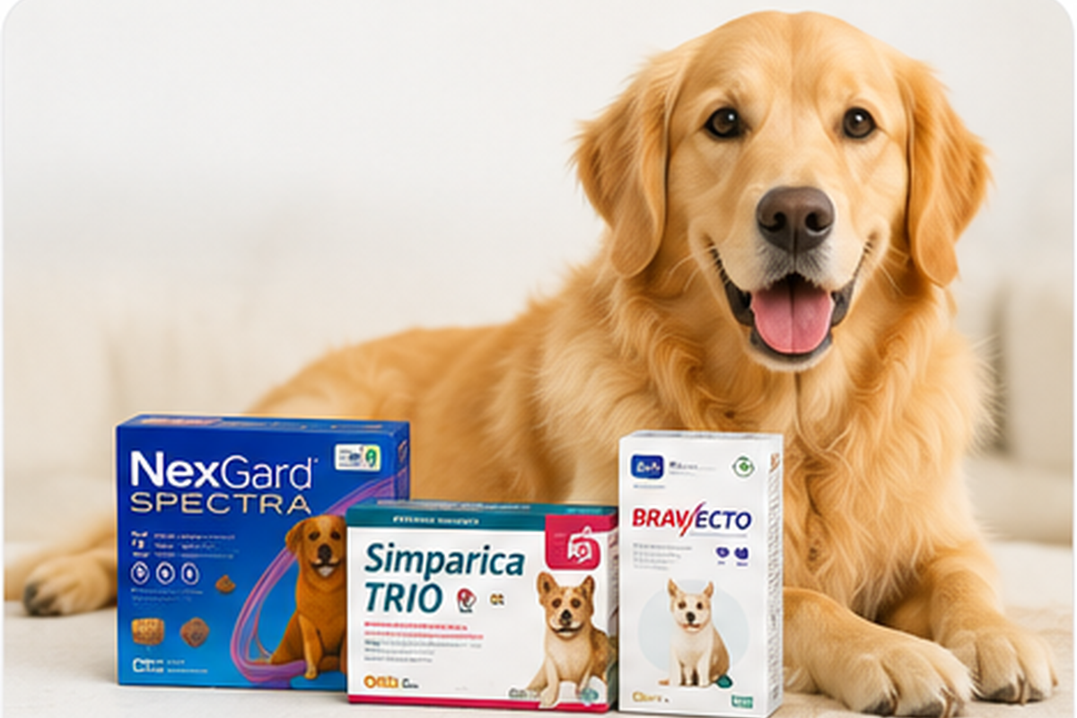 Dog products